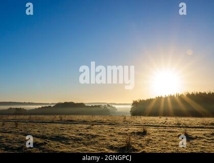 sunrise illuminates woodland surrounded by early morning mist Stock Photo