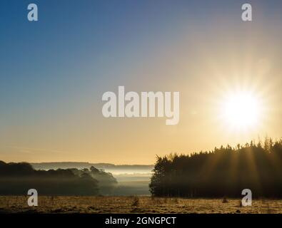 sunrise illuminates woodland surrounded by early morning mist Stock Photo