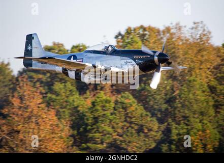 A World War II-era P-51 Mustang fighter aircraft flies at treetop level during the annual Warbirds Over Monroe Air Show in Monroe, North Carolina. Stock Photo