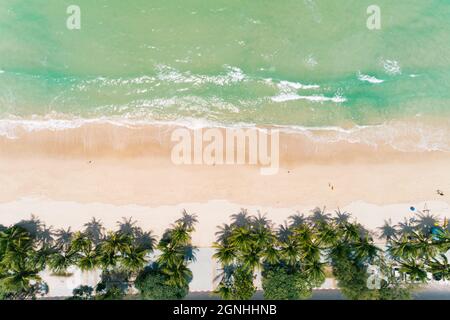 Top view coconut palm trees on the patong beach Phuket Thailand. Stock Photo