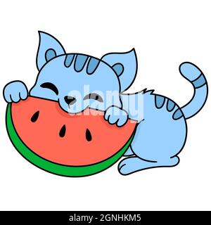 cute pet cat eating watermelon fruit Stock Vector