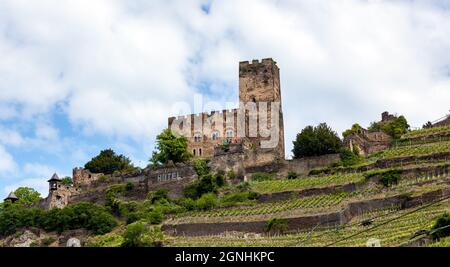 sights along the Rhine River, culturally and historically one of the great rivers of the continent and among the most important arteries of industrial Stock Photo