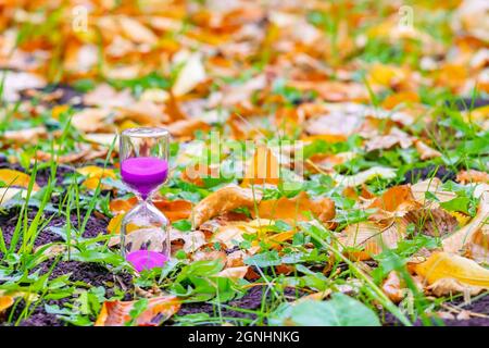 An hourglass stands on the ground among the fallen autumn leaves Stock Photo