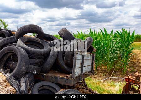 Old used damaged heavy-duty tires from agricultural mechanization piled, stacked, on homemade dump. Stock Photo