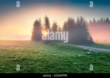 Fantastic summer sunrise in Durmitor Nacionalni Park with old country road. Calm foggy view of Montenegro countryside, Zabljak town location. Beautifu Stock Photo