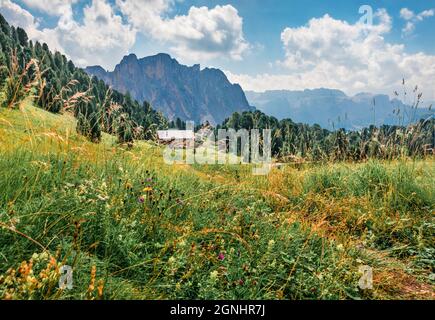Marvelous summer view of Furchetta mountain range in National Park Dolomites, South Tyrol, Italy, Europe. Amazing morning scene of Gardena valley, Dol Stock Photo