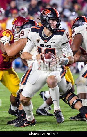 Los Angeles, CA. 25th Sep, 2021. Oregon State Beavers quarterback Chance Nolan #10 in action during the second quarter the NCAA Football game between the USC Trojans and the Oregon State Beavers at the Coliseum in Los Angeles, California.Mandatory Photo Credit: Louis Lopez/CSM/Alamy Live News Stock Photo