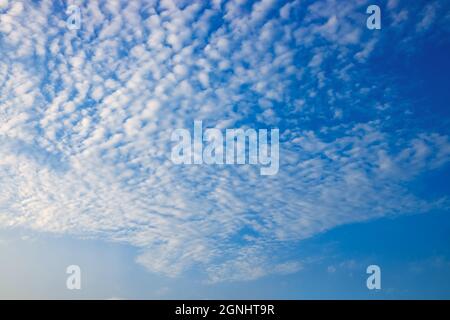 blue sky with white spindrift clouds on day Stock Photo