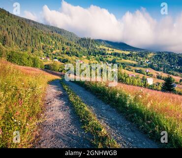 Fabulous morning scene of romanian countryside, Rogojel village location. Colorful summer landscape of Cluj County, Romania, Europe. Beauty of nature Stock Photo