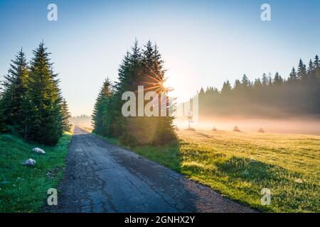 First sun rays break through the morning fog. Fantastic summer sunrise in Durmitor Nacionalni Park with old country road. Splendid foggy view of Monte Stock Photo