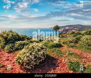 Attractive spring view of high cliffs on the Ionian Sea. Romantic morning seascape of Zakynthos (Zante) island, Greece, Europe. Beauty of nature conce Stock Photo