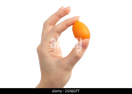 Hand hold kumquat fruit in isolated on a white background Stock Photo