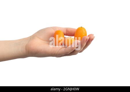 Kumquat fruits in woman hand isolated on a white background Stock Photo