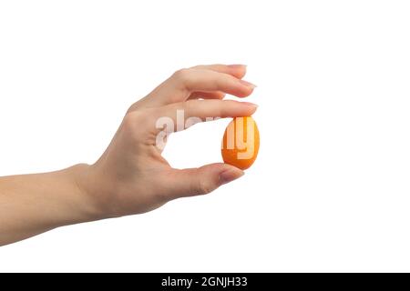 Woman hand holding kumquat fruit in isolated on a white background Stock Photo