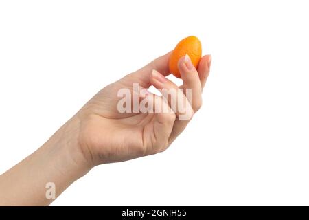 Kumquat in hand isolated on a white background Stock Photo