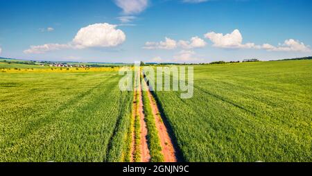 View from flying drone of old country road among the field of wheat. Sunny summer scene of Ukrainian countryside. Beauty of nature concept background. Stock Photo