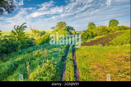 View from flying drone of old country road. Attractive summer scene of Ukrainian countryside. Beauty of nature concept background. Stock Photo