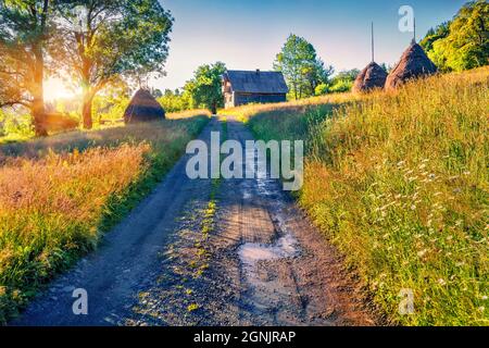 Amazing sunrise on romanian countryside, Rogojel village location. Bright summer scene of Cluj County, Romania, Europe. Beauty of nature concept backg Stock Photo