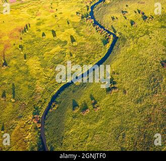 Straight dawn view from flying drone of Seret river, Ternopil region, Ukraine, Europe. Sunny summer scene of green flooded valley. Beauty of nature co Stock Photo