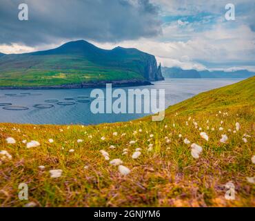 Landscape photography. Beautiful summer view of  with Trollkonufingur cliffs on Vagar island, Faroe Islands, Kingdom of Denmark, Europe. Gloomy mornin Stock Photo