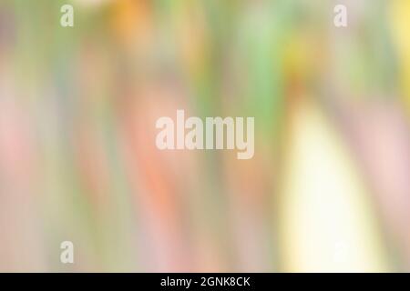 soft fuzzy defocused light background pleasant to the eyes, a backdrop of multi colored stripes of pastel tones Stock Photo
