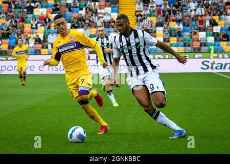 Jose' Callejon (Fiorentina) during the italian soccer Serie A match Empoli  FC vs ACF Fiorentina on November 27, 2021 at the Carlo Castellani stadium  in Empoli, Italy (Photo by Fabio Fagiolini/LiveMedia/NurPhoto Stock