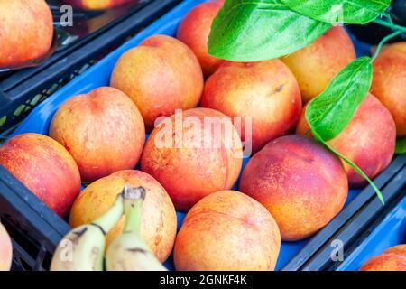 Different varieties of peaches on sale in a local bazaar kemer turkey. Fresh fruits for juice. Stock Photo