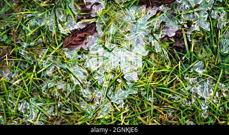 Glittering pieces of ice on the green grass. Spring background with rime on young greens. Melting ice on the ground. Young grass breaks through the ic Stock Photo