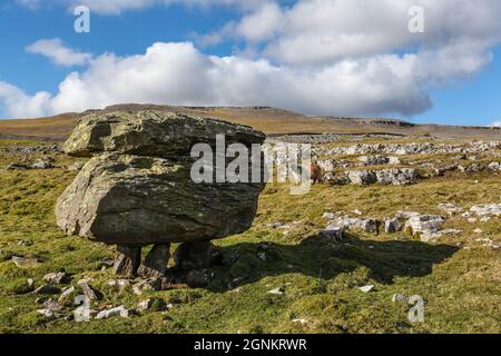 Classic landforms of the British Isles - the Norber Erratics Stock Photo