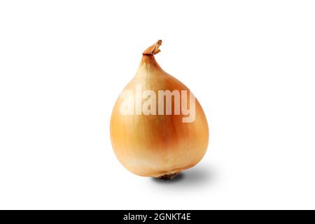 Fresh onion bulbs isolated on white background Stock Photo