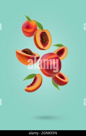 Flying fresh ripe nectarines - peaches with green leaves levitating  against pastel green background. Creative minimal concept of food levitation. Stock Photo