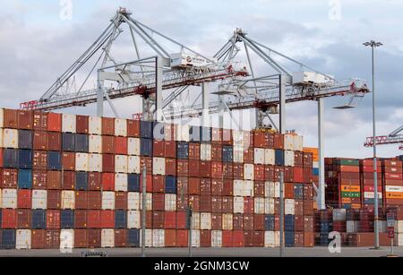 Southampton, England, UK. 2021. Shipping containers stacked high in a container port dwarfed by dockside gantry cranes. UK Stock Photo