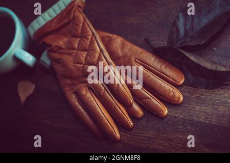 closeup photo of a pair of stylish leather gloves Stock Photo