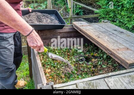 Adding wood ash from a garden bonfire to the compost heap.  It is a natural source of potassium and trace elements and also has a liming effect. Stock Photo