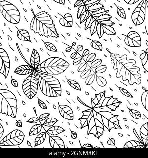 seamless pattern with autumn leaves. Black and white linear image. Vector Stock Vector