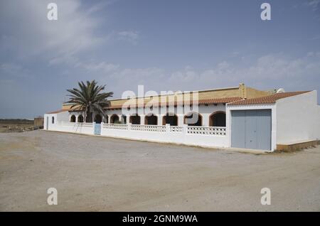 A one-floor white building with a patio and exotic palm tree under the cloudy sky on a sunny day Stock Photo