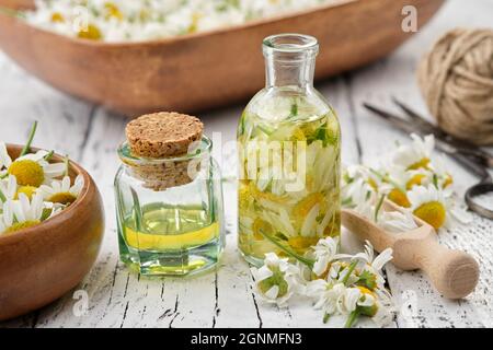 Bottles of chamomile essential oil or infusion, mortar of plucked daisy flowers, wooden scoop of chamomile buds and and bowl of daisy flowers on backg Stock Photo