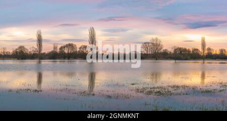 Panoramic landscape of a flooded meadow reflected in the water at sunrise. Stock Photo