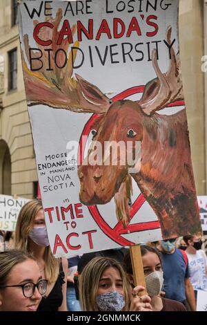 March through the streets part of Student-led strike for climate actions. Sign of Canada losing biodiversity with endangered local Moose Stock Photo