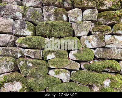 Old rough stone wall covered in moss and lichen Stock Photo