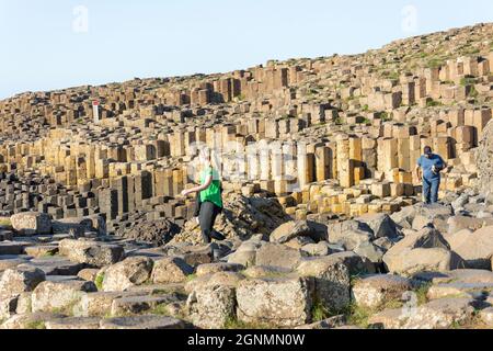 Basalt columns, The Giant's Causeway, Causeway Coast, near Bushmills, County Antrim, Northern Ireland, United Kingdom Stock Photo