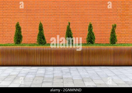 row of five small conical thuja trees in front of red brick wall and parametric plywood bench Stock Photo