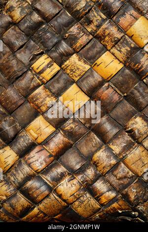 old faded traditional birch bark weaving texture Stock Photo