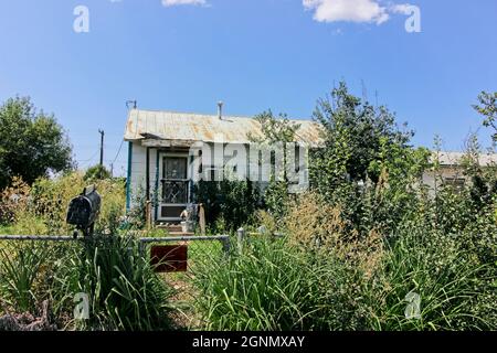 Abandoned One Level Home Overgrown With Weeds Stock Photo