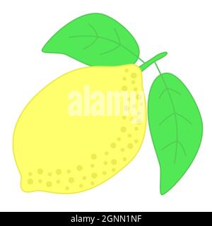 Yellow lemon with green leaves, lime citrus speckled simple flat vector illustration Stock Vector