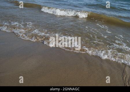 Small waves are rolling in on the wet sand at a riverside beach. Stock Photo
