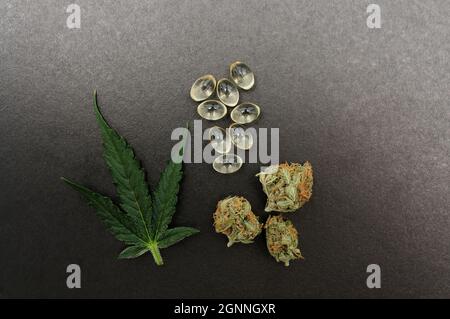 Medicinal cannabis buds, fresh leaf and cbd oil. Marijuana oil in medical capsules isolated on black background. Stock Photo