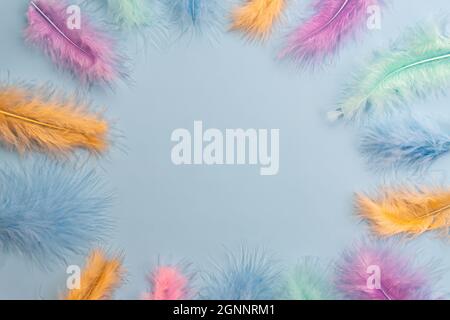 Frame boarder made of feathers on blue background. Backdrop for designers. Stock Photo