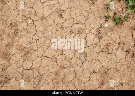 dry cracked soil during a drought in the end of May Stock Photo