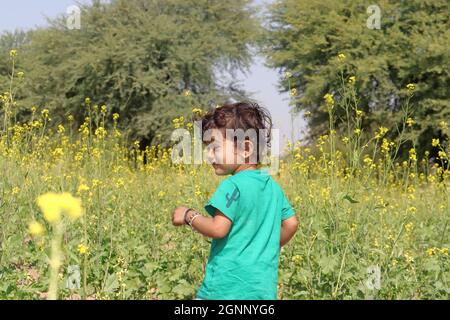 An Indian resident child boy playing in a mustard field and wearing a green t-shirt.Laughing, smiling and with a smile on the face, the field in the m Stock Photo